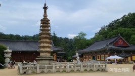 평창군관광협의회, 가족·개별 여행자 위한 평창 스카이 렐리 투어 운영