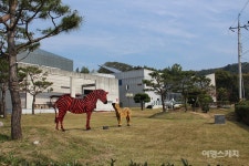 [청정지역 시골여행 - 영암군 ③] 전통문화와 예술로 소통하는 충효마을, 한곤메마을