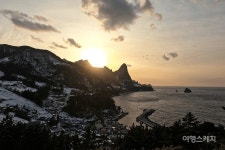 [겨울 이색 포토 여행] 어서와, 겨울은 처음이지 울릉도 설경 버스 투어