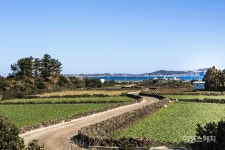 [제주 오름과 숲] 제주의 땅 끝에 우뚝 선 오름을 가다, 지미오름&말미오름