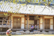 [꽃여행 맛여행] 구례 봄스테이, 전통정원 고택에서 산닭 숯불구이까지