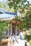 [꽃여행 맛여행] 구례 봄스테이, 전통정원 고택에서 산닭 숯불구이까지