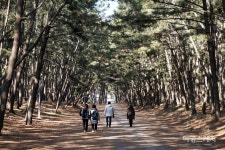 [출사여행] 태안의 간조, 낙조, 그리고 파도