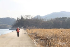 [남해바래길 걷기여행 ③] 초록일 때 더 예쁘지만 지금도 좋아요, 제4코스 고사리밭길