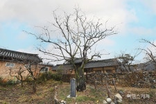 [K-스테이 ①] 산청 남사예담촌, 내 집처럼 아늑하고 편안함. 정원이 아름다운 곳 예담한옥