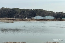 [비대면 여행지를 걷다 ①] 발원지 밤샘에서 새만금까지 흐르는 전북의 젖줄 만경강 202리 첫발을 내딛다