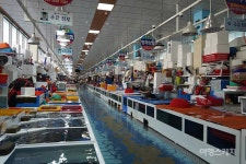 [비대면 여행지를 걷다 ③] 파도 소리 들으며 청정 바닷길을 걷다 사천 이순신바닷길 5코스 삼천포 코끼리길