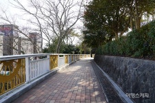 [비대면 여행지를 걷다 ③] 파도 소리 들으며 청정 바닷길을 걷다 사천 이순신바닷길 5코스 삼천포 코끼리길