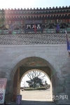 [토박이가 소개하는 내 고향] 매화 사랑꾼 박정열과 함께 하는 매화 여행, 운룡매를 아시나요? 진주 매화 숲, 진주  