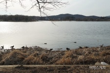 [언택트 여행지] 호숫가에서 즐기는 산책과 레일바이크, 의왕 레솔레파크