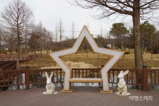 [언택트 여행지] 호숫가에서 즐기는 산책과 레일바이크, 의왕 레솔레파크