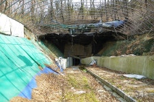 한적한 시골마을 풍경과 편백나무숲 산책로가 있는 김제 금구 명품길 1코스