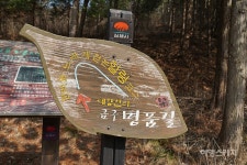 한적한 시골마을 풍경과 편백나무숲 산책로가 있는 김제 금구 명품길 1코스
