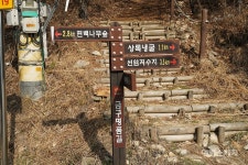 한적한 시골마을 풍경과 편백나무숲 산책로가 있는 김제 금구 명품길 1코스