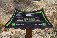 한적한 시골마을 풍경과 편백나무숲 산책로가 있는 김제 금구 명품길 1코스
