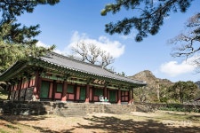 제주에서 보기 드문 변화무쌍한 매력이 가득한 바굼지 오름