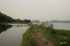 낮은 데로 흘러… 안갯속 고절한 다산의 향기