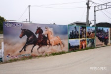 산악바이크 타고 오르락~ 내리락~  숲길을 질주하는 쾌감 즐긴다
