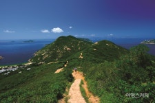 자연 속으로… 홍콩서 자전거 타봤니?