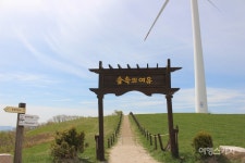 수상한 세월, 풀멍을 아시나요