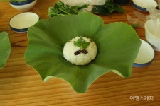 건강하고 맛있는 순창여행, 가이아농장