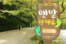 호남의 소금강, 강천산을 걷다