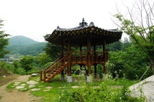 자연의 소리에 취해 걷다 보면 들리는 마음의 소리