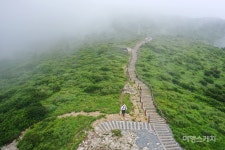 이곳이 영남알프스! 고산습지와 계곡을 만나는 천황산~재약산 연계 산행