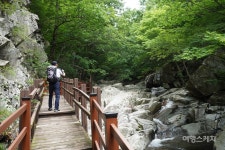 이곳이 영남알프스! 고산습지와 계곡을 만나는 천황산~재약산 연계 산행