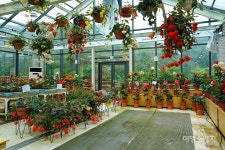 머릿속이 복잡한 이들을 위한 힐링 정원 로미지안 가든