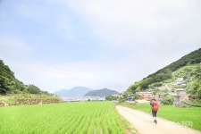 서포 김만중의 마지막 섬, 노도를 보며 걷다 