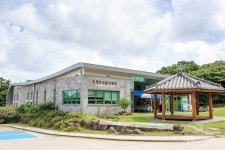 울창한 원시림을 걷다 만난 생명의 못, 동백동산