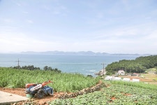 소박한 어촌과 화려한 펜션의 조화