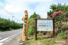 고요하고 아름다운 그 날의 숲길