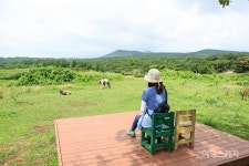 고요하고 아름다운 그 날의 숲길