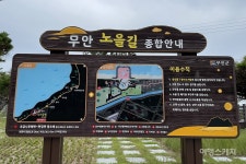 [가을바람 따라 떠나자 ① 무안] 솔향 가득한 야영장에서 하룻밤 캠핑, 노을에 물든 무안 낙지공원