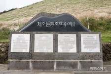 [제주 오름과 숲] 은빛 억새가 출렁이는 가을날의 서정
