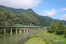 나 다시 돌아갈래! 스무살의 풍경을 닮은 삼탄역