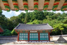 나 다시 돌아갈래! 스무살의 풍경을 닮은 삼탄역