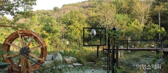 심신을 치료하는 치유농원 화순 허브뜨락