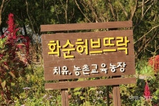 심신을 치료하는 치유농원 화순 허브뜨락