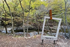 [오지 여행] 겨울이 기대되는 영양 자작나무, 숲 쏟아지는 밤하늘의 별빛 야행... 경북 영양