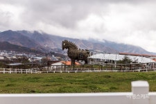 [가족 여행 추천지-①]  승마의 도시 장수... 동물과 교감하는 힐링 여행, 장수 승마레저파크