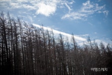 겨울의 낭만을 느끼다, 함백산 눈꽃 트레킹