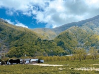 [입맛 돋는 여행 - 울릉도] 나리분지 산나물과 싱싱한 수산물의 보고 산채비빔밥과 물회