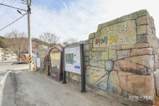 [남해바래길 걷기여행] 제5코스 말발굽길, 벚꽃이 피면 고사리도 탱글탱글