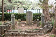 [봄, 꽃길만 걷자③]바닷가 절벽을 품은 우애 좋은 형제 오름 사라봉&별도봉