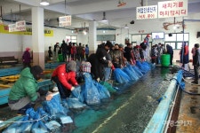 [수산물 따라가는 맛있는 전남여행 ④] 달착지근한 봄맞이 바다 전령, 고흥 주꾸미