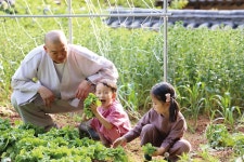땅끝 마실 한번 오실래요 해남 땅끝마실