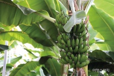 땅끝 마실 한번 오실래요 해남 땅끝마실